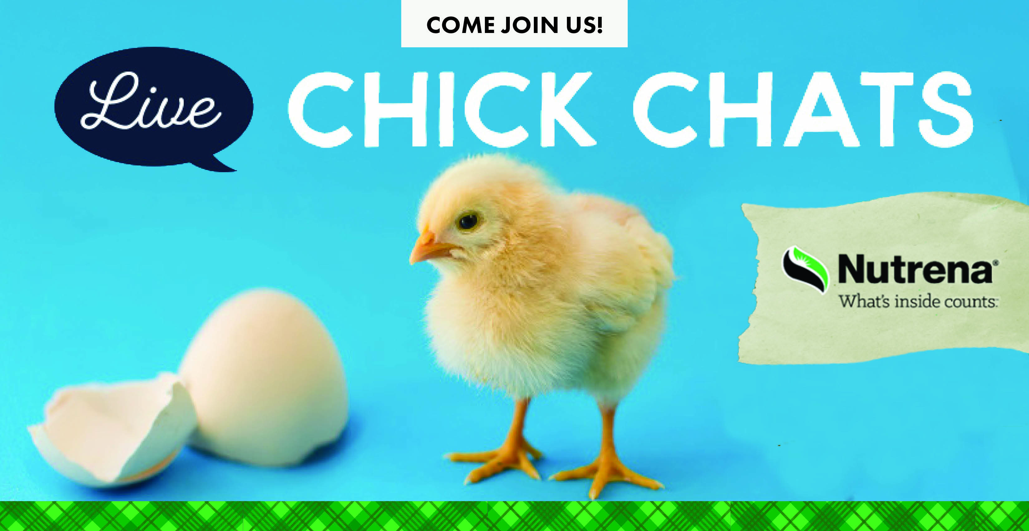 In-Store Chick Chat