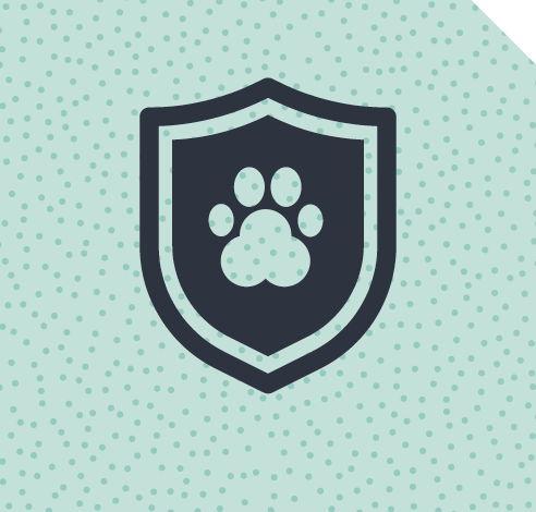 Cat Health