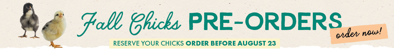 2026 Fall Chicks PRE-ORDERS order now! RESERVE YOUR CHICKS ORDER BEFORE AUGUST 23