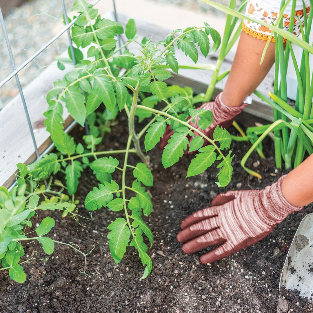 Lawn & Garden