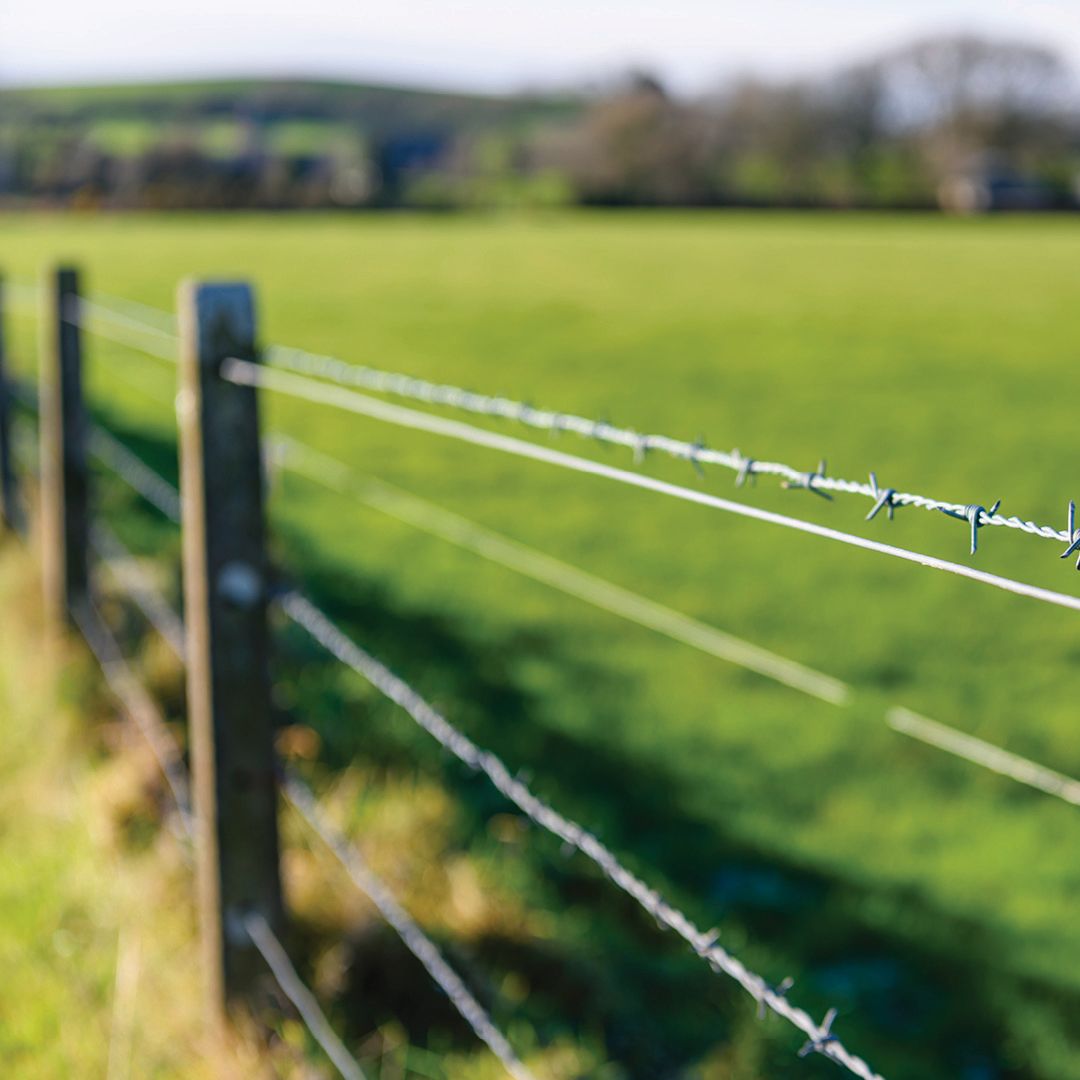 Fencing & Gates