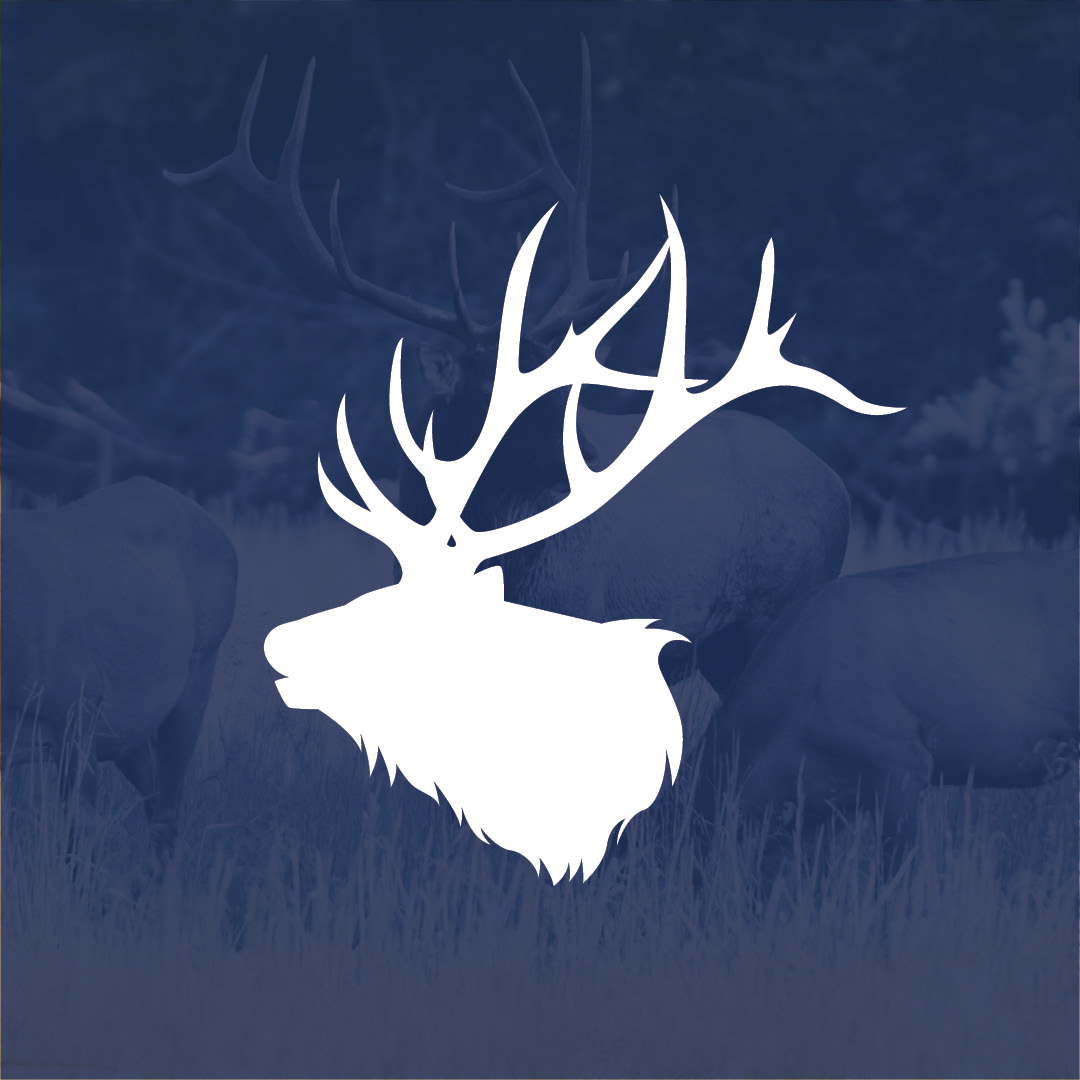 Fall Hunting Guide